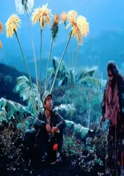 Сны Акиры Куросавы (1990) скачать торрент файл Сны Акиры Куросавы (1990) фильм скачать торрент файл