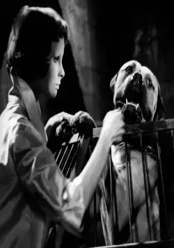 Глаза без лица (1959) в хорошем качестве скачать торрент файл Глаза без лица (1959) фильм в хорошем качестве скачать торрент файл