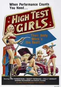 Шесть шведок с бензоколонки / Sechs Schwedinnen von der Tankstelle (1980) фильм скачать через торрет бесплатно в хорошем качестве