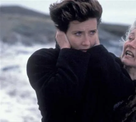 Зимний гость (1997) скачать торрент файл Зимний гость (1997) фильм скачать торрент файл