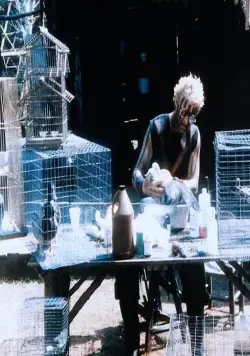 Редкая порода (1984) скачать торрент бесплатно Редкая порода (1984) фильм скачать торрент бесплатно