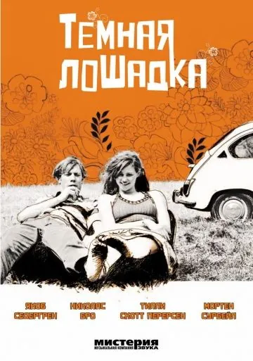 Темная лошадка / Voksne mennesker (2005) фильм скачать через торрет бесплатно в хорошем качестве