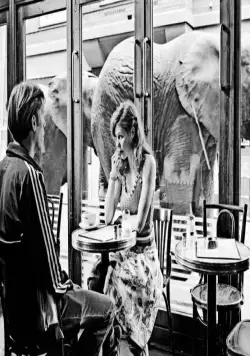 Темная лошадка (2005) скачать торрент файл Темная лошадка (2005) фильм скачать торрент файл