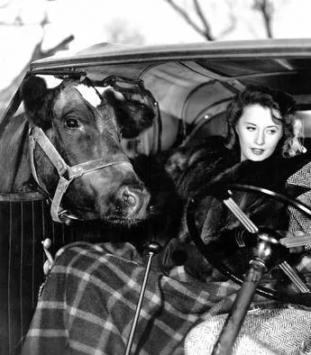 Помни эту ночь (1939) скачать торрент файл Помни эту ночь (1939) фильм скачать торрент файл