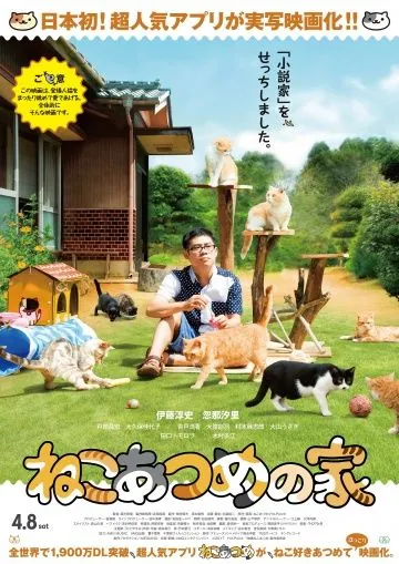 Дом кошек / Neko atsume no ie (2017) фильм скачать через торрет бесплатно в хорошем качестве