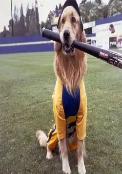 Король воздуха: Седьмая подача (2002) скачать торрент бесплатно Король воздуха: Седьмая подача (2002) фильм скачать торрент бесплатно