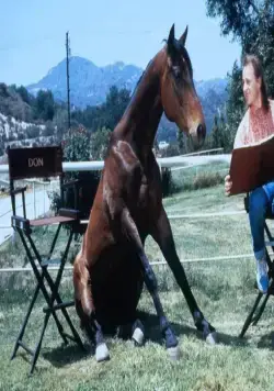 Удачное наследство (1988) скачать торрент файл Удачное наследство (1988) фильм скачать торрент файл