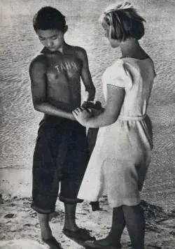 Дикая собака динго (1962) скачать торрент файл Дикая собака динго (1962) фильм скачать торрент файл