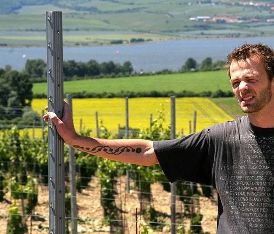 2 ягоды (2009) в хорошем качестве скачать торрент файл 2 ягоды (2009) фильм в хорошем качестве скачать торрент файл