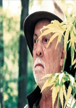 Вредный Альбер (2004) скачать торрент бесплатно Вредный Альбер (2004) фильм скачать торрент бесплатно