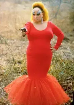 Розовые фламинго (1972) скачать торрент бесплатно Розовые фламинго (1972) фильм скачать торрент бесплатно