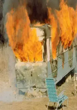 Розовые фламинго (1972) в хорошем качестве скачать торрент файл Розовые фламинго (1972) фильм в хорошем качестве скачать торрент файл