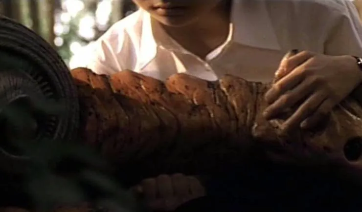 Гамера 3: Месть Ирис (1999) скачать торрент файл Гамера 3: Месть Ирис (1999) фильм скачать торрент файл