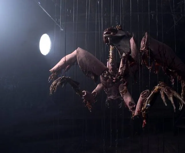 Анаморф (2007) скачать торрент файл Анаморф (2007) фильм скачать торрент файл