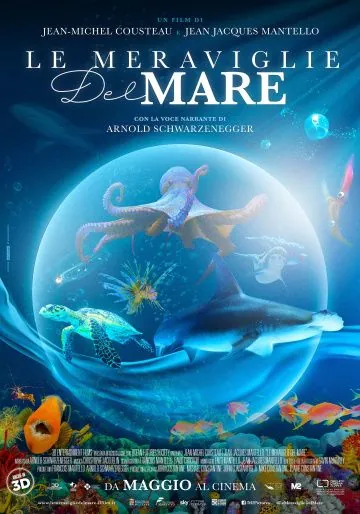 Чудеса моря в 3D / Wonders of the Sea 3D (2017) фильм скачать через торрет бесплатно в хорошем качестве