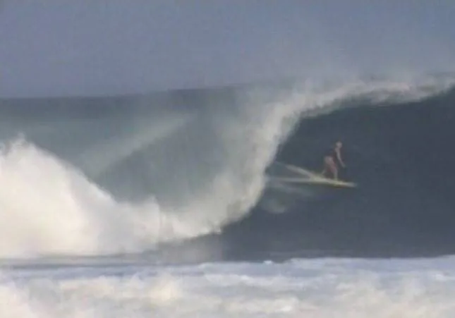 Акулозавр (2010) скачать торрент бесплатно Акулозавр (2010) фильм скачать торрент бесплатно