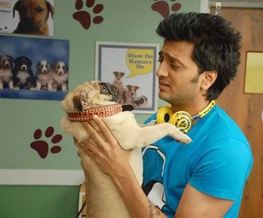 Какие мы крутые (2012) скачать торрент бесплатно Какие мы крутые (2012) фильм скачать торрент бесплатно