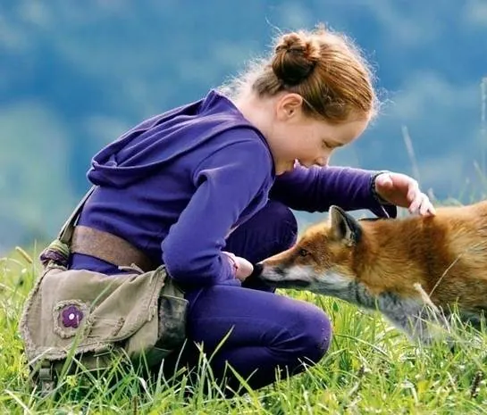 Девочка и лисенок (2007) в хорошем качестве скачать торрент файл Девочка и лисенок (2007) фильм в хорошем качестве скачать торрент файл