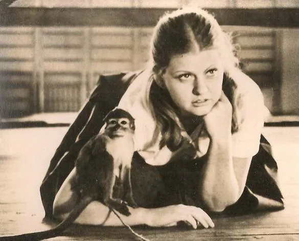 Руки вверх! (1981) скачать торрент файл Руки вверх! (1981) фильм скачать торрент файл