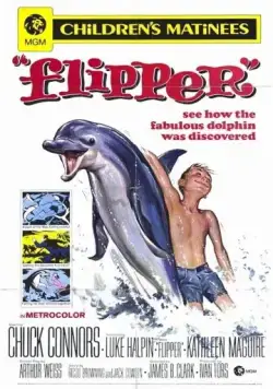 Флиппер / Flipper (1963) фильм скачать через торрет бесплатно в хорошем качестве