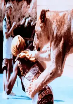 Грубая жатва (1981) в хорошем качестве скачать торрент файл Грубая жатва (1981) фильм в хорошем качестве скачать торрент файл