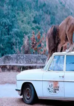 Грубая жатва (1981) скачать торрент бесплатно Грубая жатва (1981) фильм скачать торрент бесплатно