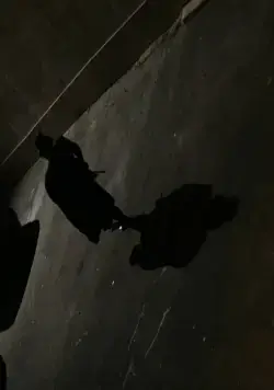 Странная история доктора Джекилла и мистера Хайда (2006) в хорошем качестве скачать торрент файл Странная история доктора Джекилла и мистера Хайда (2006) фильм в хорошем качестве скачать торрент файл