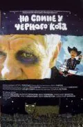 На спине у черного кота (2008) фильм скачать через торрет бесплатно в хорошем качестве