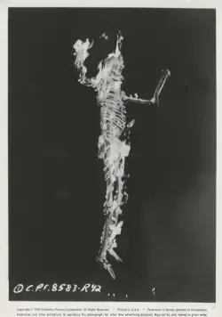 13 призраков (1960) в хорошем качестве скачать торрент файл 13 призраков (1960) фильм в хорошем качестве скачать торрент файл