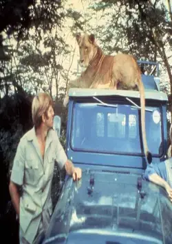 Рожденная свободной (1966) скачать торрент бесплатно Рожденная свободной (1966) фильм скачать торрент бесплатно