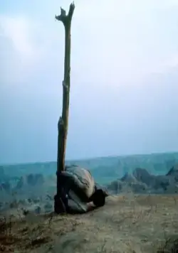 Королева бандитов (1994) в хорошем качестве скачать торрент файл Королева бандитов (1994) фильм в хорошем качестве скачать торрент файл