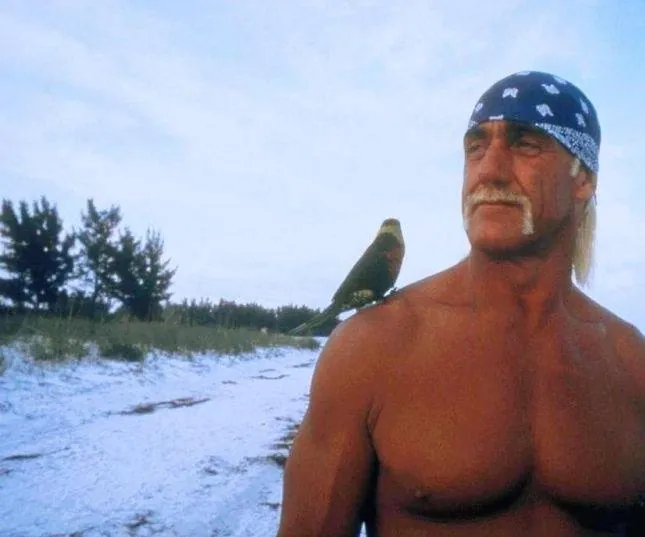 Остров МакКинси (1998) скачать торрент файл Остров МакКинси (1998) фильм скачать торрент файл