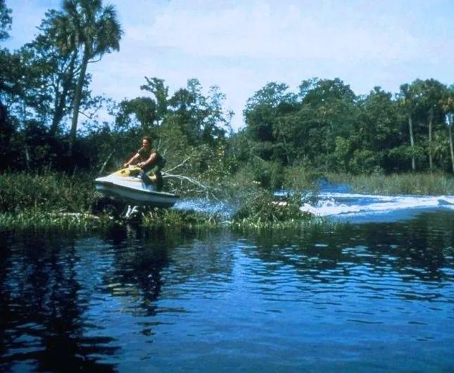 Остров МакКинси (1998) в хорошем качестве скачать торрент файл Остров МакКинси (1998) фильм в хорошем качестве скачать торрент файл