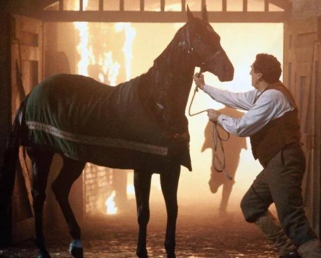 Черный красавец (1994) в хорошем качестве скачать торрент файл Черный красавец (1994) фильм в хорошем качестве скачать торрент файл