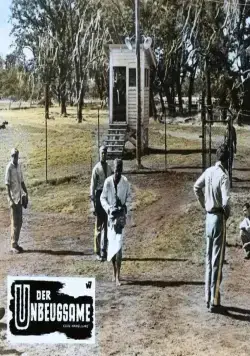 Хладнокровный Люк (1967) скачать торрент бесплатно Хладнокровный Люк (1967) фильм скачать торрент бесплатно