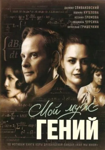 Мой муж – гений (2008) фильм скачать через торрет бесплатно в хорошем качестве