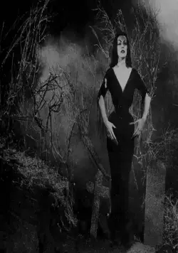 План 9 из открытого космоса (1959) скачать торрент файл План 9 из открытого космоса (1959) фильм скачать торрент файл