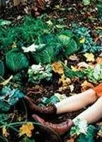 Биби — маленькая волшебница (2002) скачать торрент файл Биби — маленькая волшебница (2002) фильм скачать торрент файл