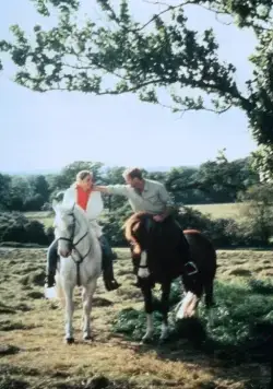 Слезы под дождем (1988) в хорошем качестве скачать торрент файл Слезы под дождем (1988) фильм в хорошем качестве скачать торрент файл