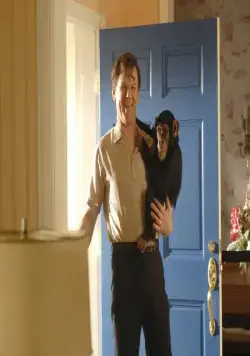 Взлеты и падения: История Дьюи Кокса (2007) в хорошем качестве скачать торрент файл Взлеты и падения: История Дьюи Кокса (2007) фильм в хорошем качестве скачать торрент файл