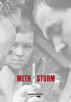 Метамфетаминовый шторм / Meth Storm (2017) фильм скачать через торрет бесплатно в хорошем качестве