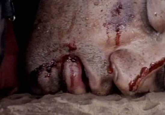 Роковой праздник (2000) скачать торрент бесплатно Роковой праздник (2000) фильм скачать торрент бесплатно