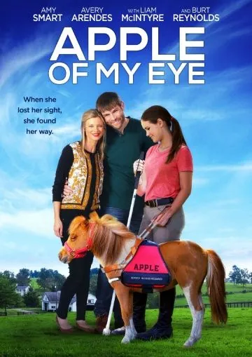 Зеница ока / Apple of My Eye (2016) фильм скачать через торрет бесплатно в хорошем качестве