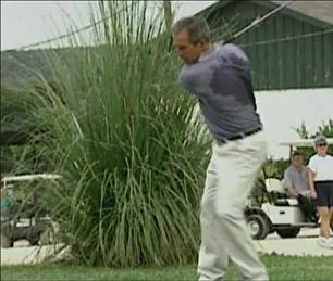 Фаренгейт 9/11 (2004) скачать торрент файл Фаренгейт 9/11 (2004) фильм скачать торрент файл