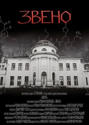 Звено (2012) фильм скачать через торрет бесплатно в хорошем качестве