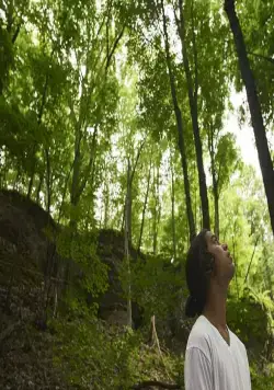 Зеленый дельфин (2019) скачать торрент бесплатно Зеленый дельфин (2019) фильм скачать торрент бесплатно