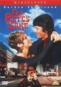 Все ради Пита / For Pete's Sake (1974) фильм скачать через торрет бесплатно в хорошем качестве