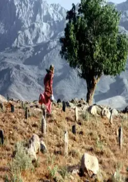 Нас унесет ветер (1999) в хорошем качестве скачать торрент файл Нас унесет ветер (1999) фильм в хорошем качестве скачать торрент файл