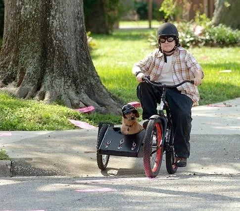 Эйс Вентура младший (2009) скачать торрент бесплатно Эйс Вентура младший (2009) фильм скачать торрент бесплатно