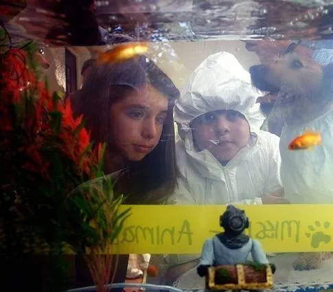 Эйс Вентура младший (2009) в хорошем качестве скачать торрент файл Эйс Вентура младший (2009) фильм в хорошем качестве скачать торрент файл